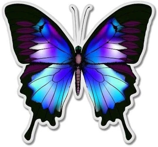 Blue Morpho Butterfly Window Bumper Laptop Decal (2-Pack) | Made in USA Print on Demand