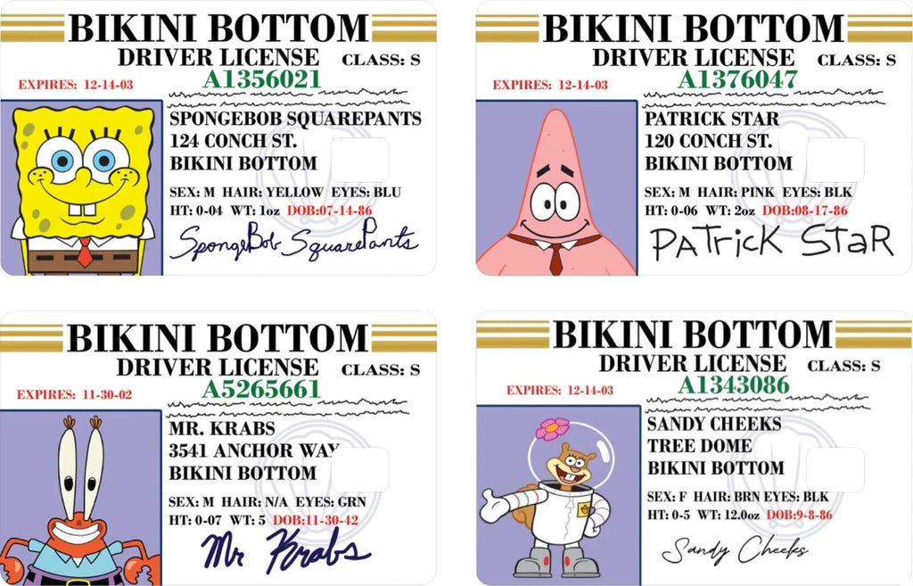 Bikini Bottom Driver License Funny Cartoon Credit Card Skin (4-Pack) | Made in USA Print on Demand