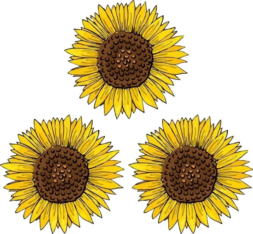 Garden Yellow Sunflower Floral 3 Pieces, & Paper Material, Perfect Sticker | Made in USA Print on Demand