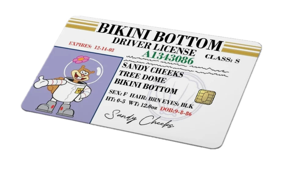 Bikini Bottom Driver License Funny Cartoon Credit Card Skin (4-Pack) | Made in USA Print on Demand